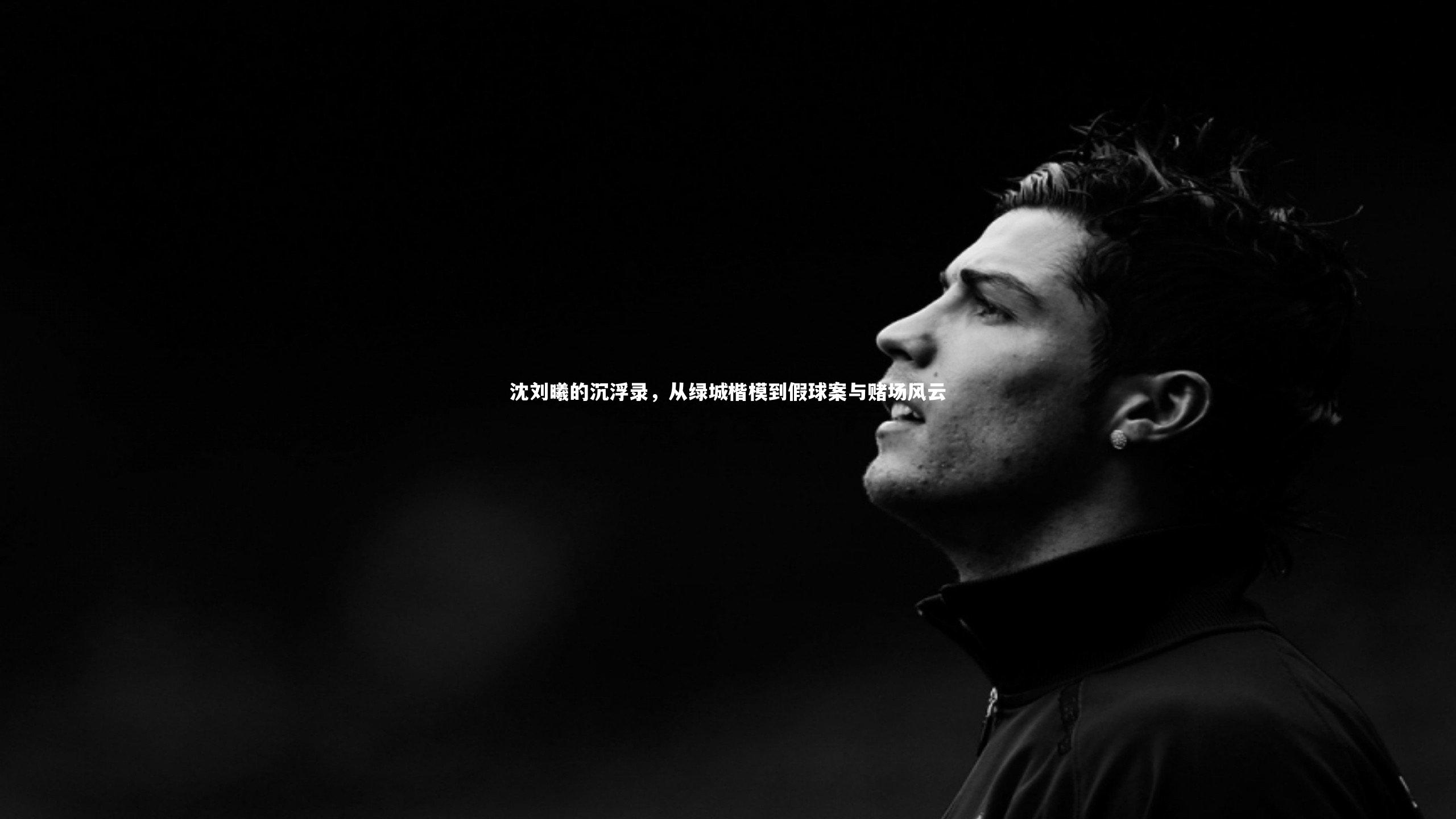 沈刘曦的沉浮录，从绿城楷模到假球案与赌场风云